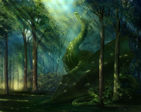 Dragon Forest Wallpapers - 4k, HD Dragon Forest Backgrounds on WallpaperBat