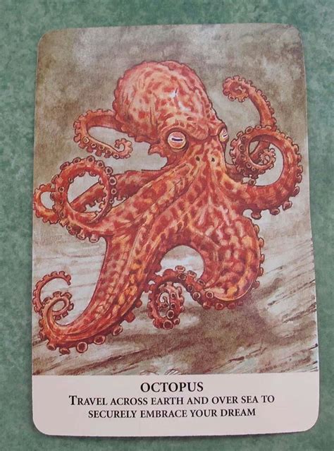 Octopus | Spirit animal meaning, Animal meanings, Spirit animal