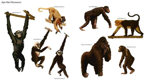 Early Apes and Monkeys. Row 1: Oreopithecus, Propliopithecus ...