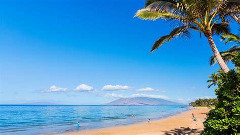 Maui Beach Wallpapers - Top Free Maui Beach Backgrounds - WallpaperAccess