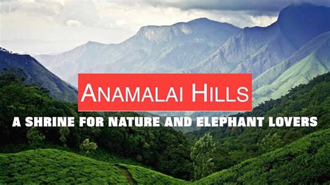 Anamalai Hills, a shrine for nature and elephant lovers | Skymet ...