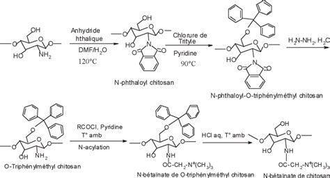 Synthèse de N-bétaïnate de chitosan — Synthesis of chitosan N-betainate ...