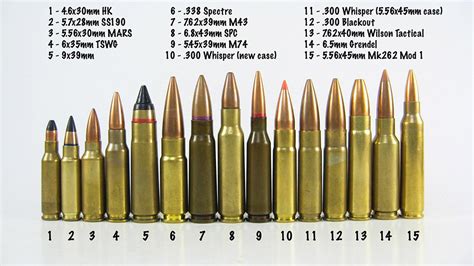 What Calibers Can the AR-15 Shoot? Discover the Versatility - Gun Safe ...