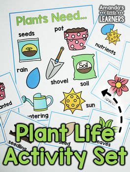 Plant Activity Set | Activities, Plants, Educational activities