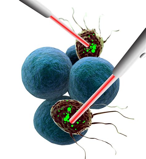 Targeted Therapy Of Cancer Using Photodynamic Therapy In Combination