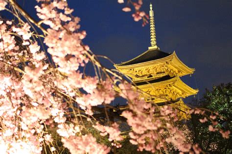 13 Best Places to See Cherry Blossoms in Kyoto 2020 - Japan Web Magazine