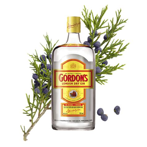 15 Best Gin Brands 2019 - What Gin Bottles to Buy Right Now