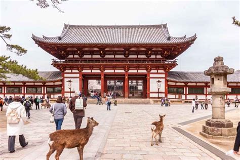 16 Fun Things to do in Nara - Day trip itinerary