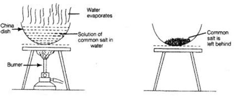 Evaporation Diagram Chemistry