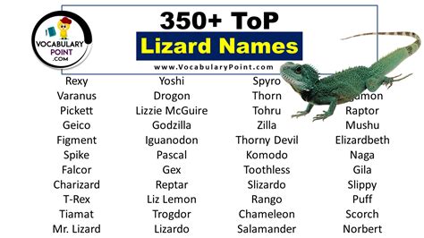 350+ Top Lizard Names (Best, Cute, Funny And Pet) - Vocabulary Point