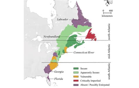 Distribution and status of sea lamprey Petromyzon marinus in watersheds ...