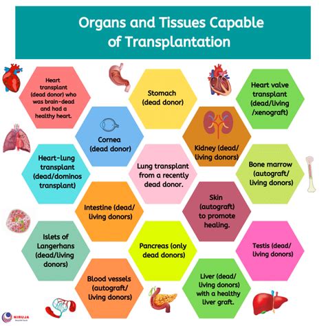 Organs and tissues capable of transplantation