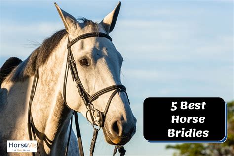 5 Best Horse Bridles Review [Choosing the Right One in 2021]