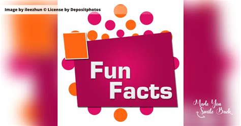 Amazing Fun Facts About May You Will Love - Made You Smile Back