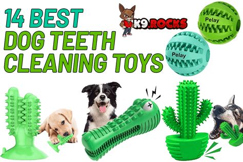 14 Best Dog Teeth Cleaning Toys - K9 Rocks