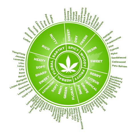 All about Marijuana Terpenes: Terps & Flavonoids | Greendorphin.com