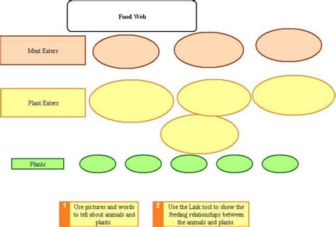 Blank Food Web Template (5) - TEMPLATES EXAMPLE | TEMPLATES EXAMPLE ...