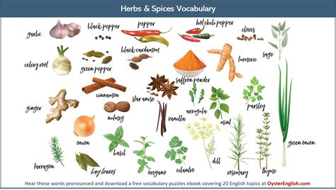 Herbs and Spices Vocabulary