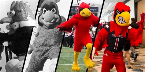 Get to know our beloved mascot Louie | UofL News