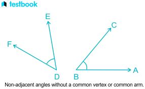 Non-Adjacent Angles: Definition, Properties with Solved Examples