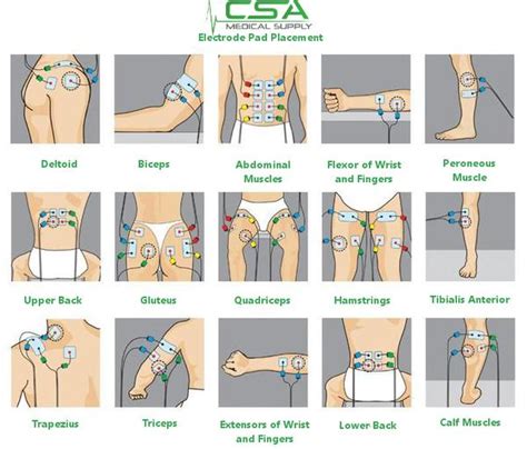 TENS Unit Therapy: How To Use Them For Pain Relief | Tens electrode ...