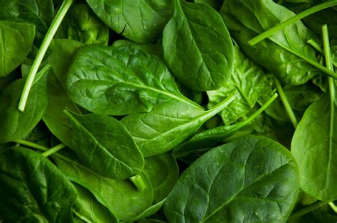 Spinach: Nutrition, health benefits, and diet