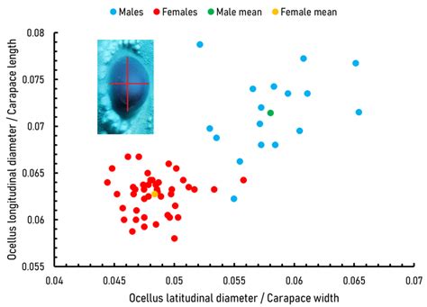 b. Bivariate scatter plot comparing ratiometrics regarding longitudinal ...