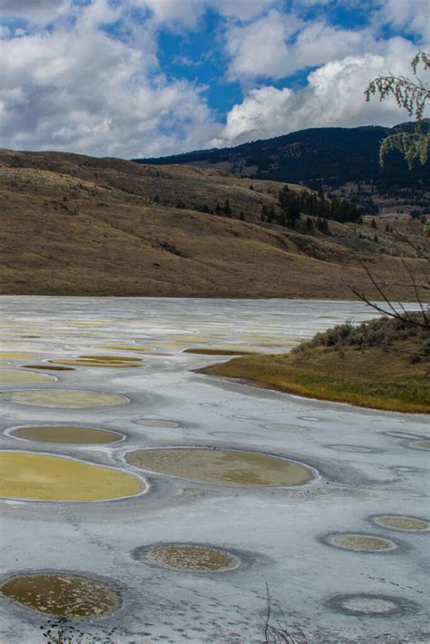 How to Visit Lake Kliluk (Spotted Lake) in Osoyoos, Canada: 2022 Facts ...