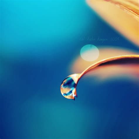 35 Incredible Examples Of Water Drop Photography Graphic Design Junction