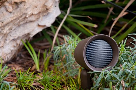 The Best Outdoor Speakers For Your Garden of 2024 (Reviewed)