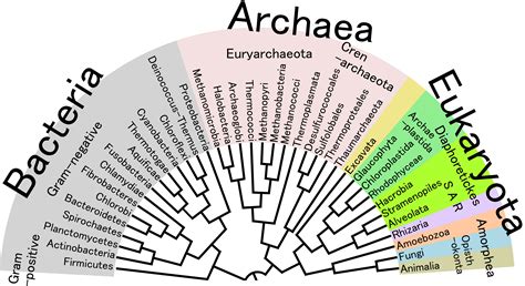 the-operator-theory - A periodic table of periodic tables | Tree of ...