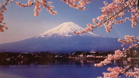 Mt Fuji Drawings - Mount Fuji, Cherry Blossom, Lake Kawaguchi | Dozorisozo