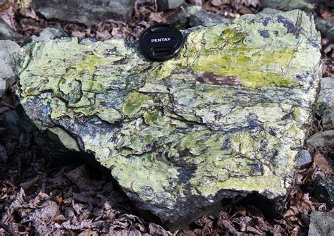 Serpentinite and Plants — Canada (Ontario) Beneath Our Feet