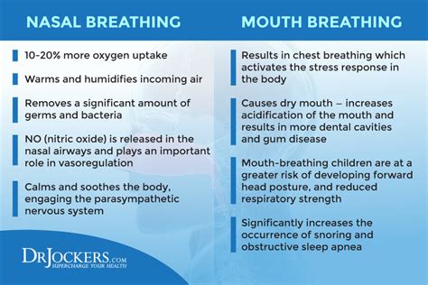 Nasal Breathing: Benefits and How to Do It Properly