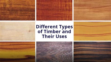 10 Different Types Of Timber And Their Uses