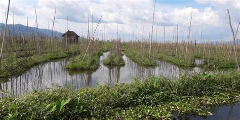 Inle Lake's Floating Gardens