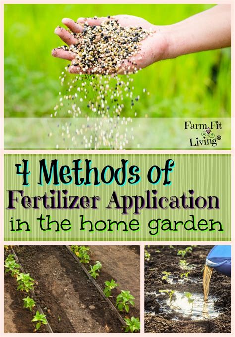 4 Methods of Fertilizer Application in the Home Garden - Farm Fit Living