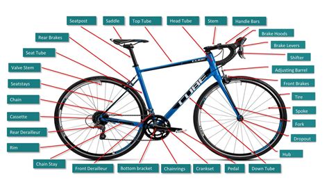 Complete Guide to All Road Bike Parts | Road bike parts, Road bike, Bike