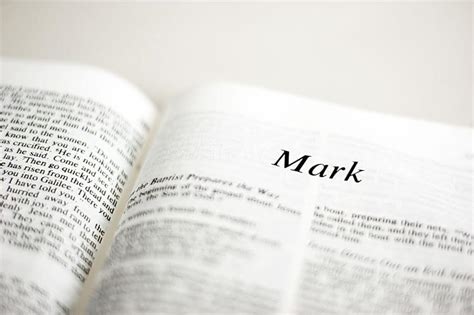 What Is the Best Book of the Bible to Read First? – HolyWord.com