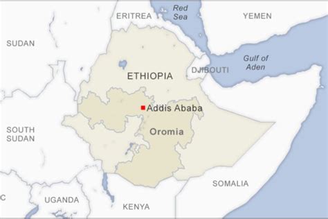 Rights Body Calls for Action in Ethiopia's Oromia Region