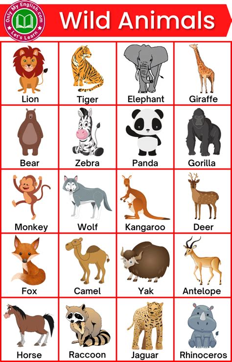 Wild Animals Name List, Animals Name With Picture, Animals Name In ...