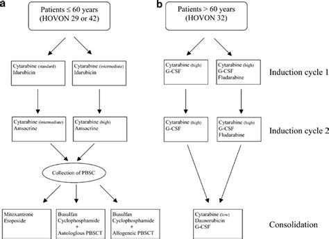 Schematic outline of AML treatment protocols. (a) AML patients 60 years ...