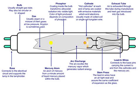 10 facts to know about Mercury lamp spectrum - Warisan Lighting