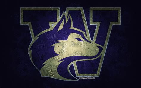 Washington Huskies, American football team, blue background, Washington ...