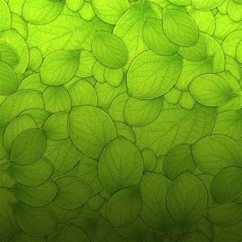 Green nature, Simple green, Leaf texture