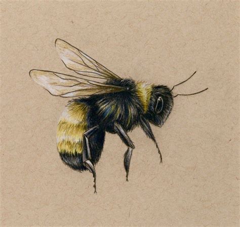 drawings of bees flying - lineartdrawingslineartdrawingsanimals