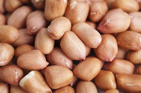 Controlled Intake of Peanuts May Be Helpful | ECARF