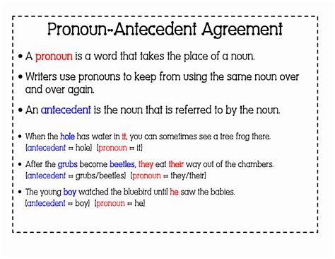 50 Pronoun Antecedent Agreement Worksheet