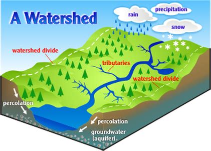 The Drainage Basin - My IGCSE years