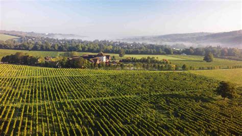 Denbies Vineyard Hotel in Surrey opening Spring 2019 - BRITISH TRAVEL ...